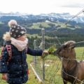 Zakopane gdzie z dziećmi warto się wybrać?