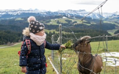 Zakopane gdzie z dziećmi warto się wybrać?