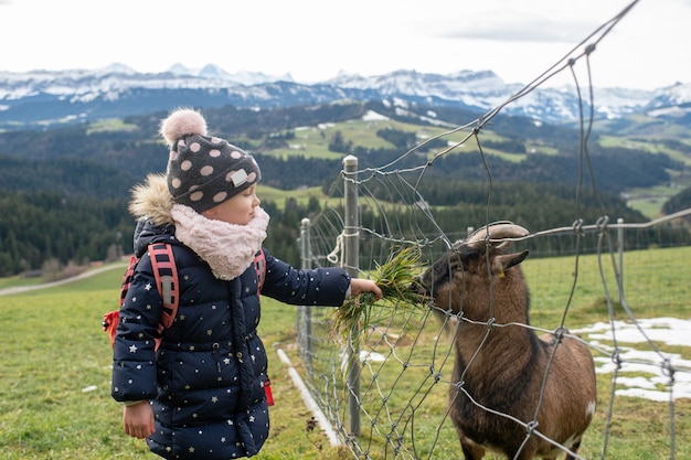 Zakopane gdzie z dziećmi warto się wybrać?