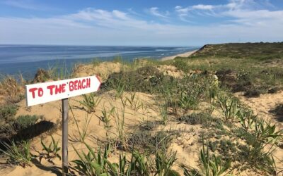 Gdzie są piaszczyste plaże w Polsce?