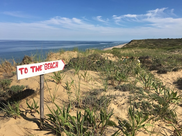 Gdzie są piaszczyste plaże w Polsce?