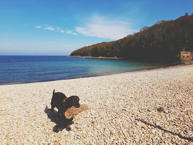 Gdzie w Chorwacji jest piaszczysta plaża?