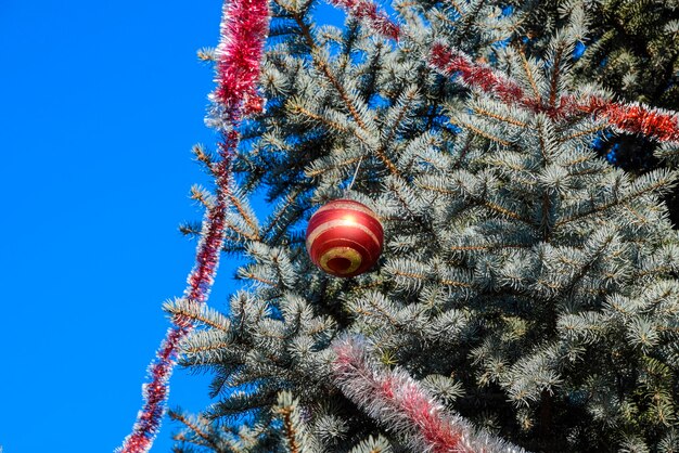 Jak wygląda choinka w Niemczech?