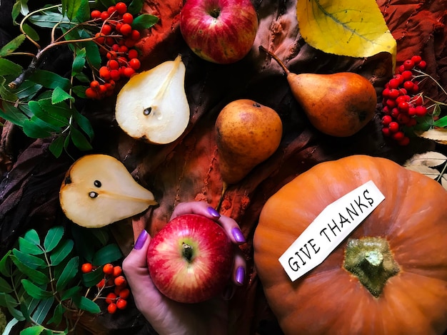 Na czym polega święto dziękczynienia i skąd wzięła się ta tradycja?