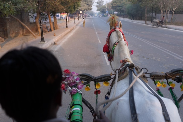 Gdzie na mule w Warszawie można poczuć klimat nadwiślańskich plaż?
