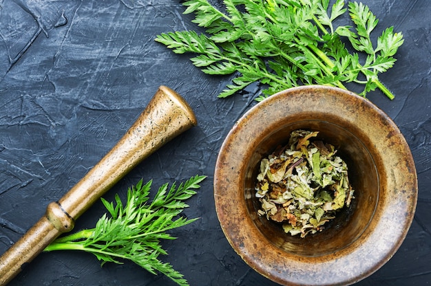 Jakie zioło pachnące jak magi warto mieć w kuchni?