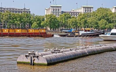 Gdzie na rybę w Warszawie warto się wybrać?