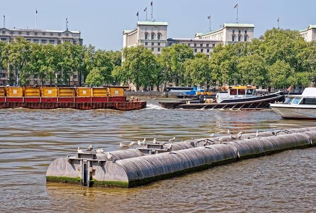 Gdzie na rybę w Warszawie warto się wybrać?